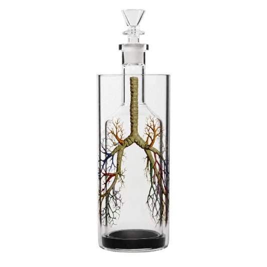 Clear glass gravity bong with a tall cylindrical outer chamber, removable inner glass bottle, funnel-shaped glass bowl, and black base. Features colourful anatomical lung artwork with branching airways in green, orange, blue, and red against a white background.