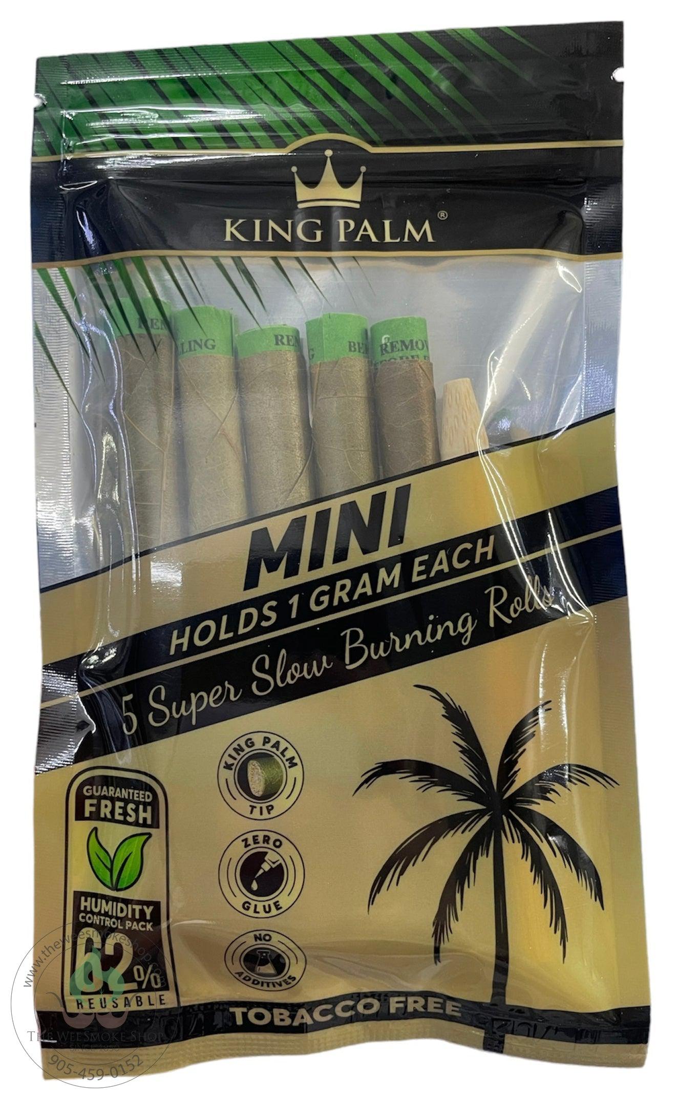 5 pack king palm mini